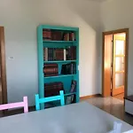 Palme E Vigne Offida