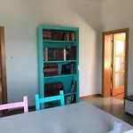 Palme E Vigne * Offida