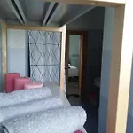 Palme E Vigne *