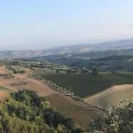 Palme E Vigne *