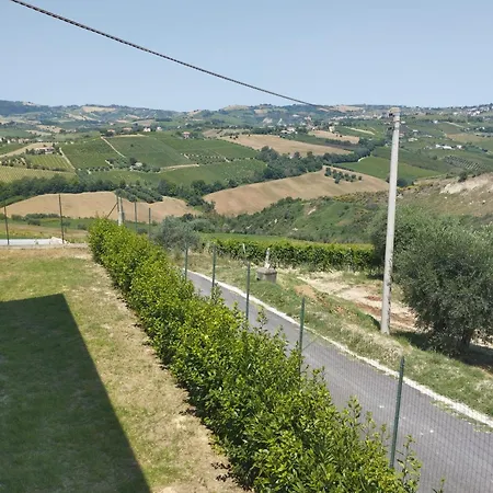Palme E Vigne * Offida