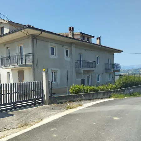 Palme E Vigne