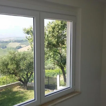 Palme E Vigne Offida