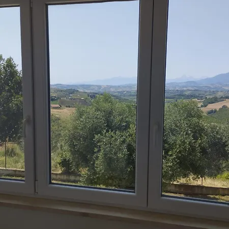 Palme E Vigne Offida