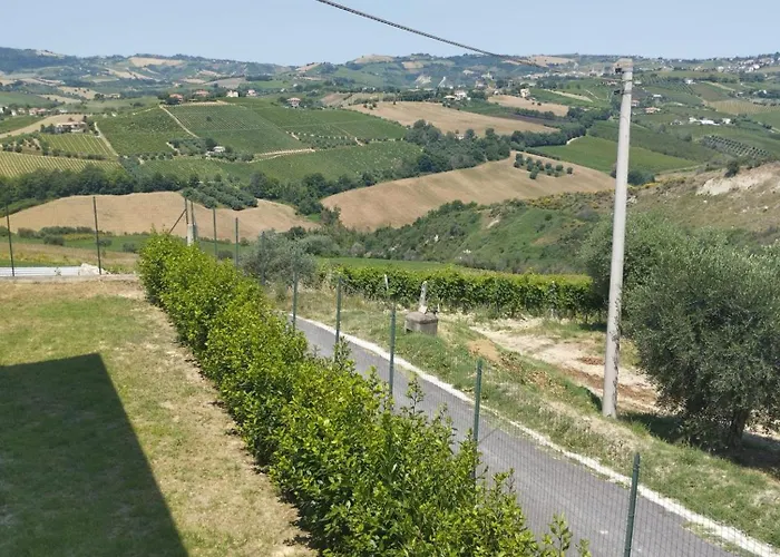 Palme E Vigne * Offida